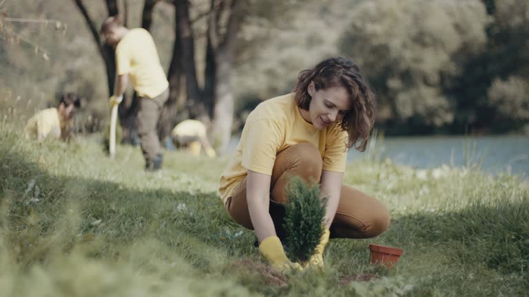 Lawn Maintenance Plans in Wapakoneta, OH